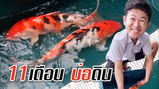 โตเร็วมาก ปลาคาร์ฟบ่อดิน (11เดือน)   l 11 MONTH KOI DIRT POND คุณพ่อคราฟ