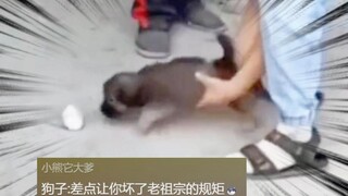 الجرو: لا يمكن أن نكسر القواعد الموروثة!