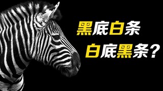 有趣的“斑马效应”，条纹究竟是“黑底白条”还是“白底黑条”？