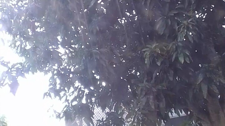 Hujan