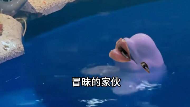 Moby Dick: Does my mom not know how to talk?