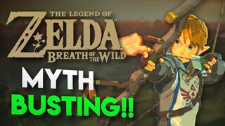 Busting MYTHS in Breath of the Wild!! [15 Stats Questions ANSWERED!!]