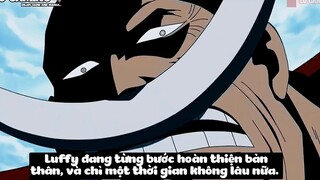 Top 7 Người Có Ý Chí Của D Trong One Piece p8