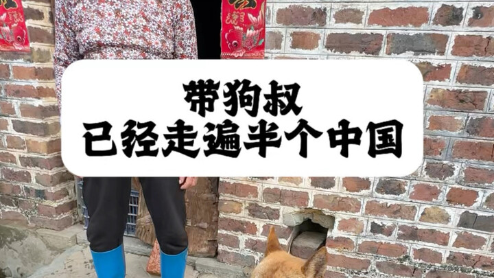 Taking my “uncle dog” across half of China…