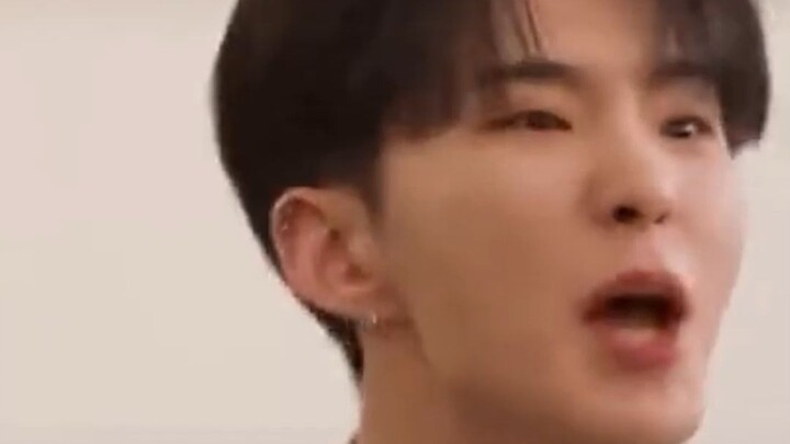 Hoshi: I’m a tiger, not a hamster.
