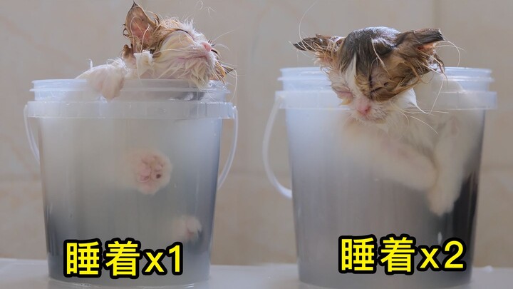 Mencuci sambil mencuci, akhirnya tertidur......