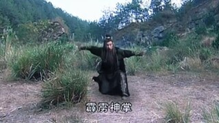 刘大侠一共就会两招，老夫来也，霹雳神掌