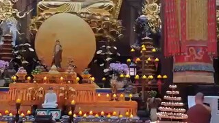 岁月不曾停留，热爱却可抵岁月漫长。我们握不住青春，也拦不住时光，却能以从容之心，善待每一寸时光。新的一天，愿你心有所爱，行有所向，日日如春，四季常安。