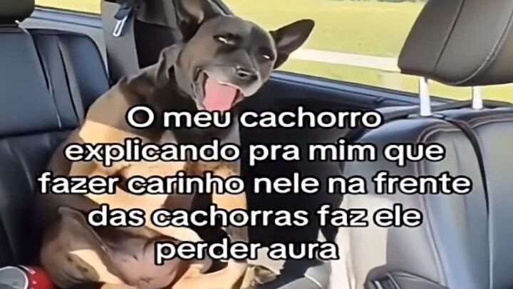 o CACHORRO perdeu AURA #shorts