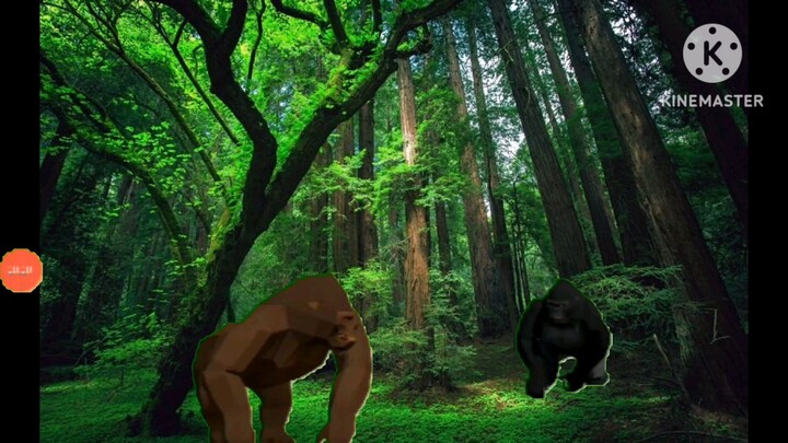 ODGJ(Orang Dongo Gak Jelas)