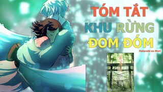 Tóm tắt phim "Lạc vào khu rừng đom đóm" | AL Anime