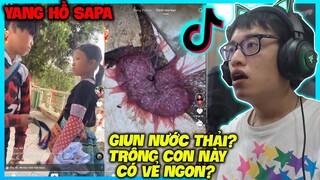 TRẺ TRÂU YANG HỒ SAPA VÀ SINH VẬT KÌ LẠ ÔNG TỔ LOÀI GIUN CƯỜI VỠ BỤNG | HÙNG AKIRA XEM TIK TOK VN