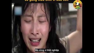 review phim hay-Cuồng phim| Hoa Loa Kèn