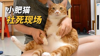 小猫咪可听不得这些话