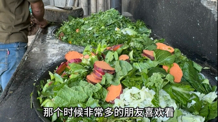 Làm cho chú heo một phần cơm phủ rau