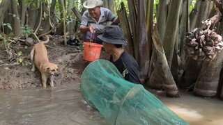 Một Ngày Ra Vườn Đi Đổ Lú Cùng Chú Chó Thông Minh và Cái Kết Thật Bất Ngờ | TKQ & Family T1065