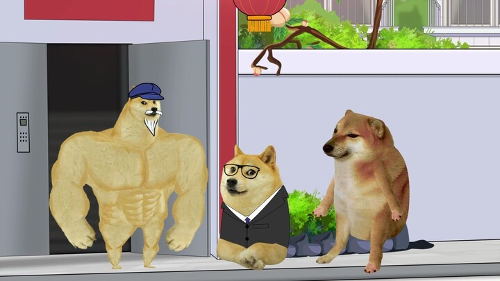 Occupational Discrimination