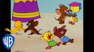 Tom & Jerry | Jerry and Quacker, Besties Forever | Classic Cartoon Compilation | @wbkids​