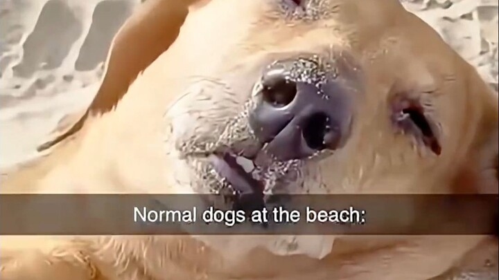 Jan 2026: YouTube Short Video Gems with Tens of Millions of Views