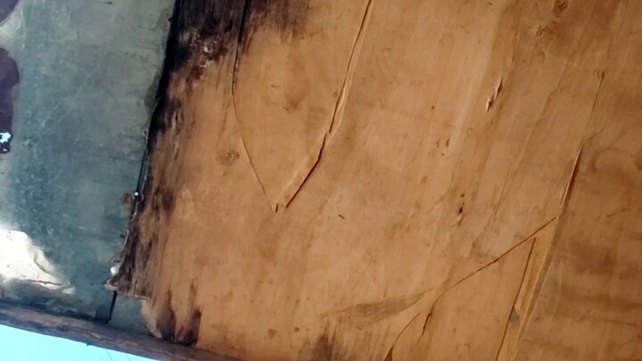 Vlog #20:Rest Day...July 16, 2022