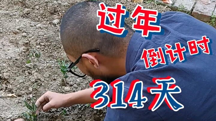 Đếm ngược 314 ngày đến Tết Nguyên Đán, thăm mẹ vào dịp Thanh Minh