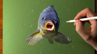 fish on paper