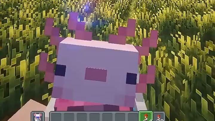 Share your cherished pictures Punchy! #nature  #hopecore  #punchymod #minecrafts