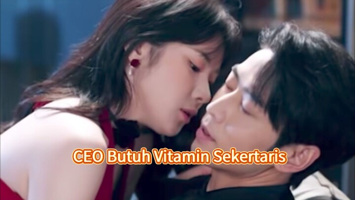CEO Butuh Vitamin Sekertaris Eps 3.4.5.6 Sub Indo