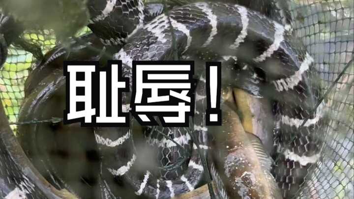 Tôi chưa từng gặp ai trơ tráo đến thế!