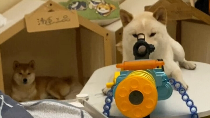 Don’t shoot—friendlies!