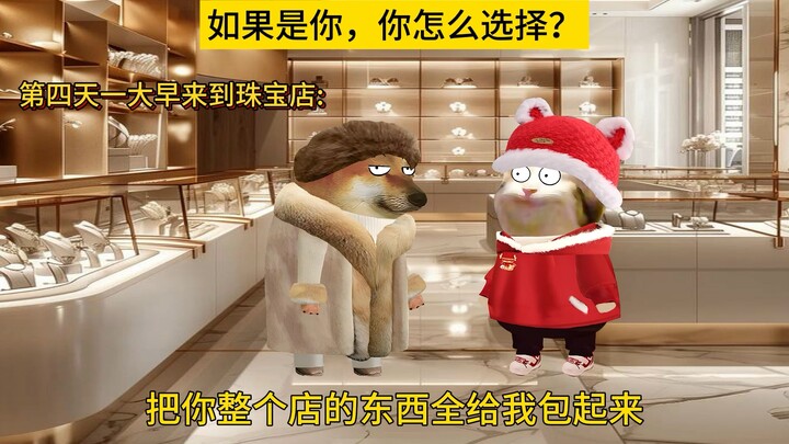 假如是你，你选哪个？