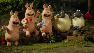 Swimming pool - Shaun the sheep full episode