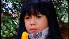 04 Monyet Cantik