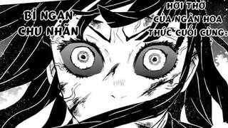 Toàn Bộ Về Lâu Đài "Tình Ái" Vô Cực | Part 17