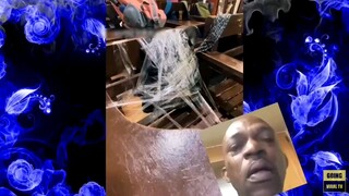 funny moments