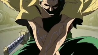 Saat kapten memberi perintah, aku akan melewati gunung pedang dan lautan api - Roronoa Zoro