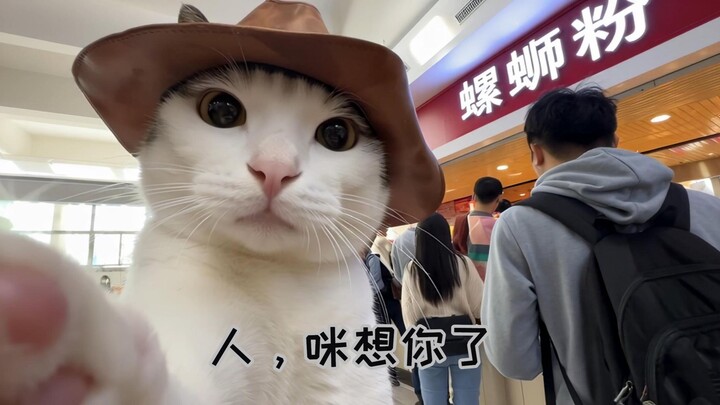 Kenapa Vlog Kehidupan Kuliah Seorang Kucing