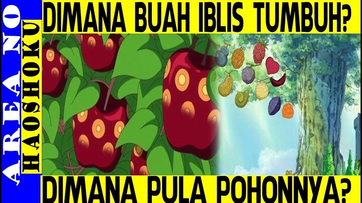 Asal Buah Iblis Tumbuh dan Dimakah Pohonnya? Ini Penjelasannya ( One Piece )