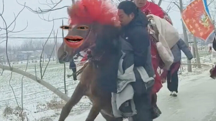 Horse: The groom has arrived—great luck and prosperity!