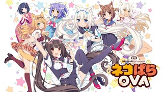 Nekopara OVA - Tập 1-2 [Việt sub]