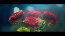 5te4lth - EP06