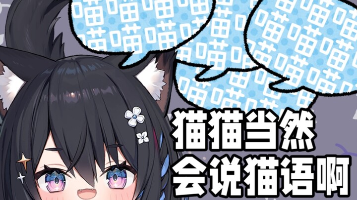 【Hoshina Suzu】Cat Language Level 10 Challenge