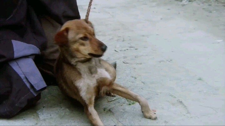 唐伯虎點秋香 ถังไป่หู่ ใหญ่ไม่ต้องประกาศ