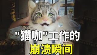 The moment of collapse encountered at the stray cat "cat cafe" 😫