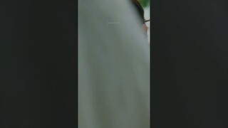 Expensive bag finally got useful😂😂🤣 #hanjihyun #kimhyunjin #baeinhyuk #cheerup #kdrama #favpickedit