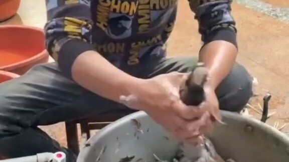 วิธีธรรมชาติล้วนๆ อย่าเถียงฉันนะ