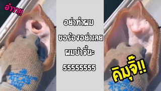 รวมคลิปตลกๆ : นี่มันคิมิโนะโต๊ะสุดๆไปเลย!!