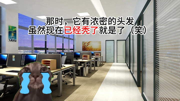 【Meme kucing】Dulu ada seekor kucing yang menyusup ke perusahaan untuk menjadi mata-mata...