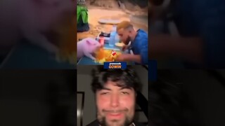 wednesday vs 🐖 ￼٫ #bombastic #shortes #viral #mrboombastic #shorts_ #wednesday #wednesdaydance