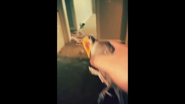 AAAAAAAAGH